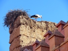 Возвращение на Восток: Марокко без мороки, или страна, которая не напрягает. Часть 10