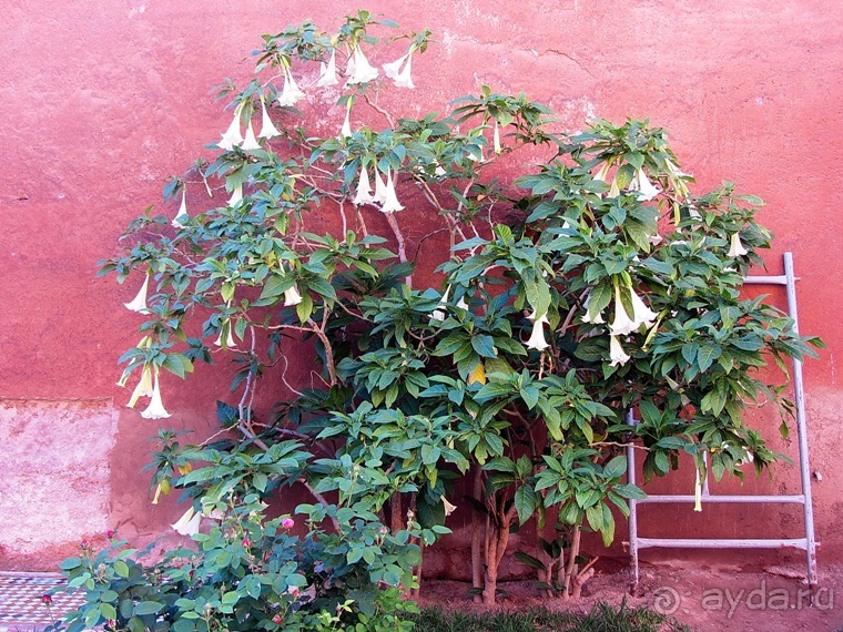 Возвращение на Восток: Марокко без мороки, или страна, которая не напрягает. Часть 10