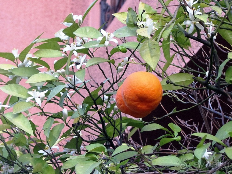 Возвращение на Восток: Марокко без мороки, или страна, которая не напрягает. Часть 10