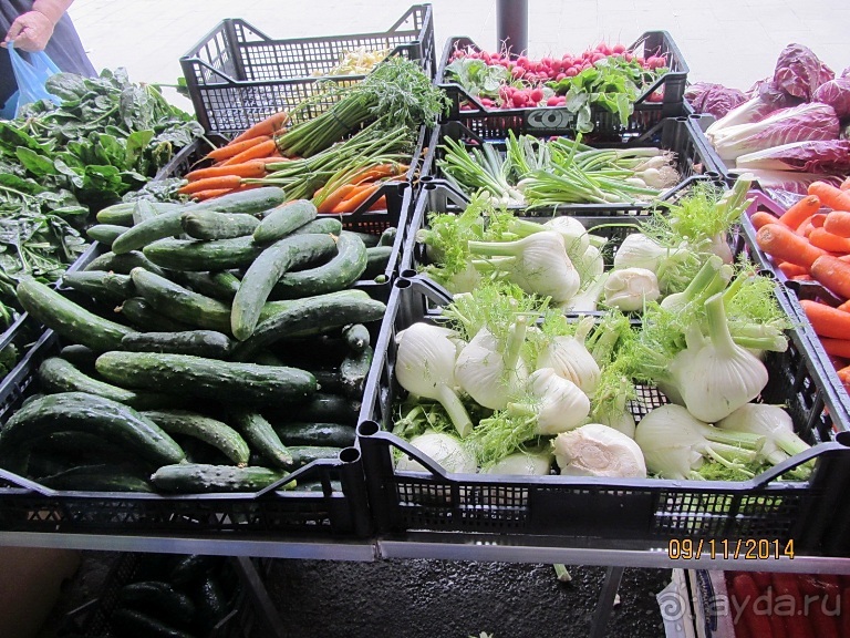 От Чинкве Терре до Флоренции, или боже, спаси Италию! Часть 2