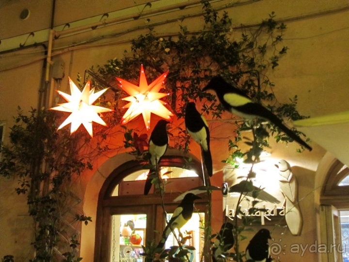 От Чинкве Терре до Флоренции, или боже, спаси Италию! Часть 2