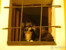 От Чинкве Терре до Флоренции, или боже, спаси Италию! Часть 2