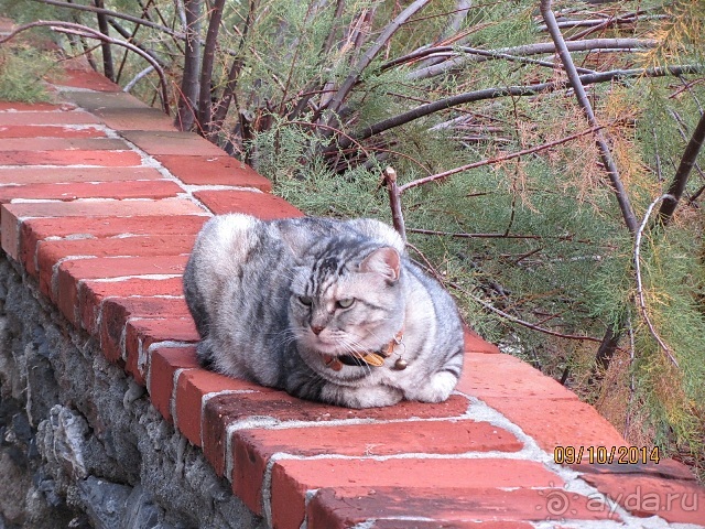 От Чинкве Терре до Флоренции, или боже, спаси Италию! Часть 2