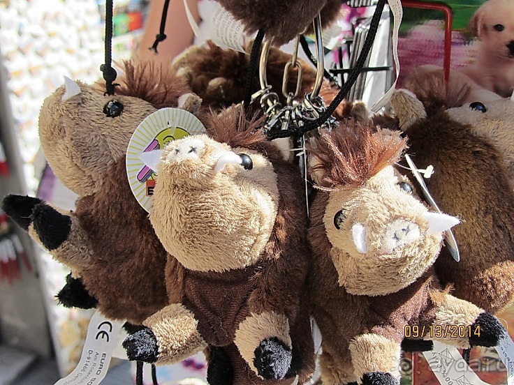 От Чинкве Терре до Флоренции, или боже, спаси Италию! Часть 6