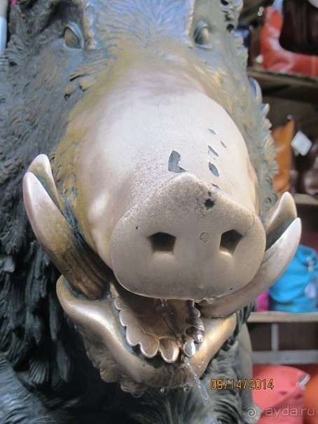 От Чинкве Терре до Флоренции, или боже, спаси Италию! Часть 6