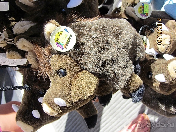 От Чинкве Терре до Флоренции, или боже, спаси Италию! Часть 6