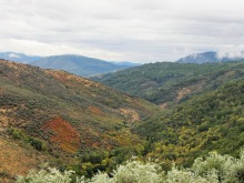 Как мы спасали ёжика и другие прогулки по Кастилии и вокруг Мадрида. Часть 10