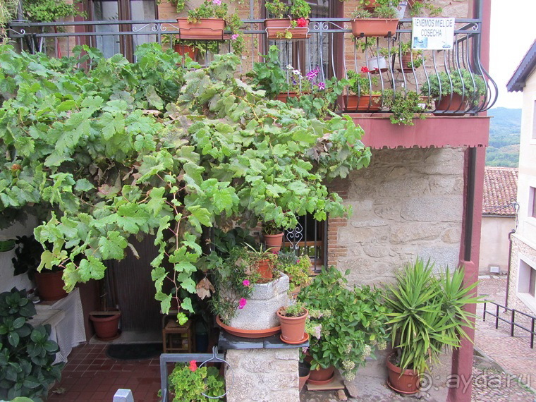 Как мы спасали ёжика и другие прогулки по Кастилии и вокруг Мадрида. Часть 10