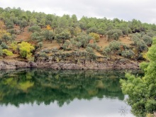 Как мы спасали ёжика и другие прогулки по Кастилии и вокруг Мадрида. Часть 3