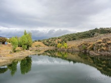 Как мы спасали ёжика и другие прогулки по Кастилии и вокруг Мадрида. Часть 3