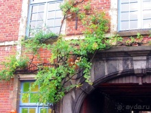 Бельгийские бродилки, пыхтелки и вопилки (с заездом в Маастрихт). Часть 8