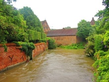 Бельгийские бродилки, пыхтелки и вопилки (с заездом в Маастрихт). Часть 8
