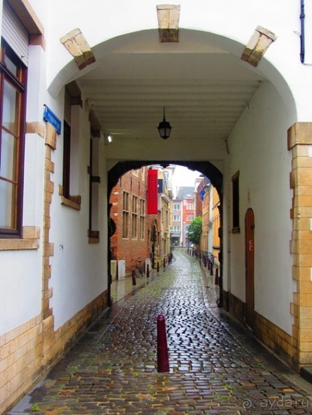 Бельгийские бродилки, пыхтелки и вопилки (с заездом в Маастрихт). Часть 8