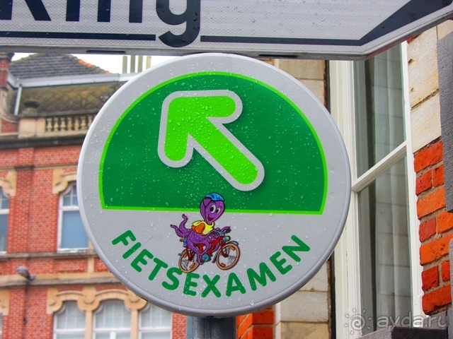 Бельгийские бродилки, пыхтелки и вопилки (с заездом в Маастрихт). Часть 8