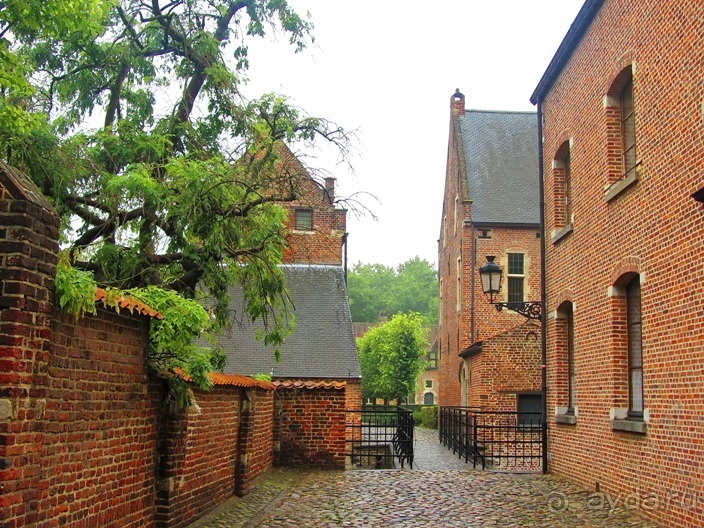 Бельгийские бродилки, пыхтелки и вопилки (с заездом в Маастрихт). Часть 8