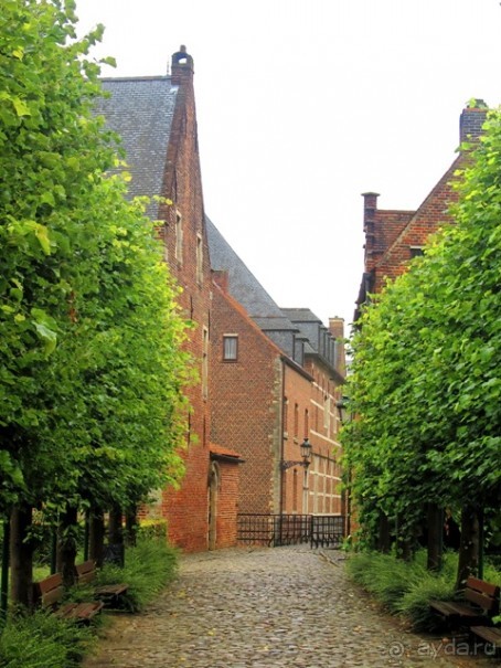 Бельгийские бродилки, пыхтелки и вопилки (с заездом в Маастрихт). Часть 8