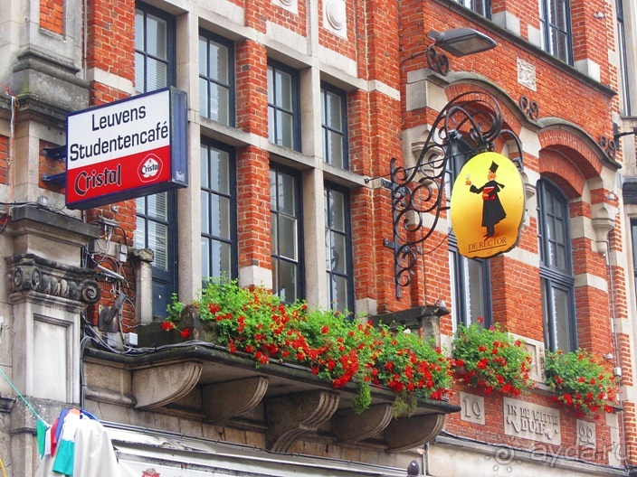 Бельгийские бродилки, пыхтелки и вопилки (с заездом в Маастрихт). Часть 8