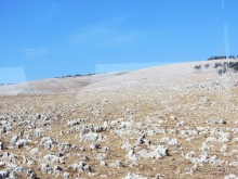 Второе пришествие в Израиль: Тель-Авив - Хайфа - Акко - Цфат - Галилея. Часть 5