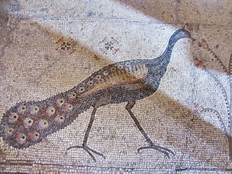 Второе пришествие в Израиль: Тель-Авив - Хайфа - Акко - Цфат - Галилея. Часть 5