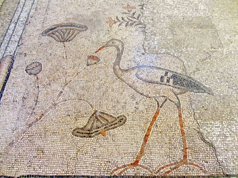 Второе пришествие в Израиль: Тель-Авив - Хайфа - Акко - Цфат - Галилея. Часть 5