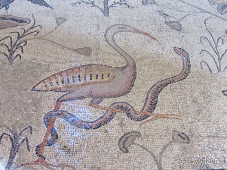 Второе пришествие в Израиль: Тель-Авив - Хайфа - Акко - Цфат - Галилея. Часть 5