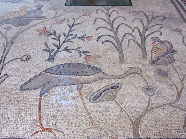 Второе пришествие в Израиль: Тель-Авив - Хайфа - Акко - Цфат - Галилея. Часть 5