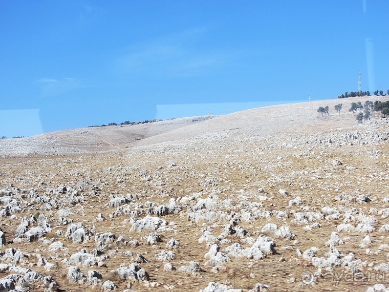 Второе пришествие в Израиль: Тель-Авив - Хайфа - Акко - Цфат - Галилея. Часть 5