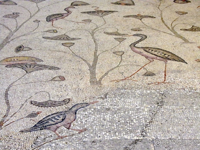 Второе пришествие в Израиль: Тель-Авив - Хайфа - Акко - Цфат - Галилея. Часть 5