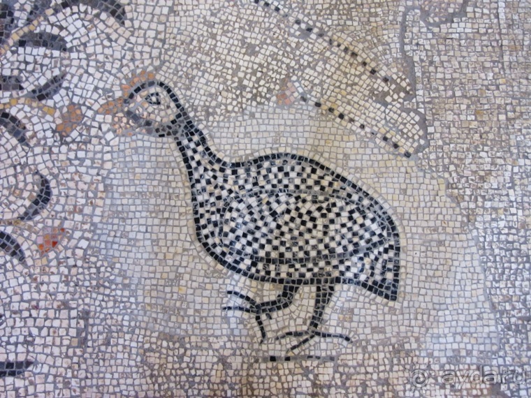 Второе пришествие в Израиль: Тель-Авив - Хайфа - Акко - Цфат - Галилея. Часть 5