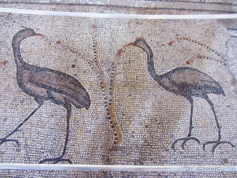 Второе пришествие в Израиль: Тель-Авив - Хайфа - Акко - Цфат - Галилея. Часть 5