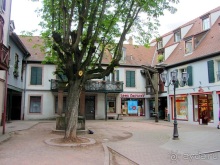 Французские бродилки - великолепный Мец, яркий Эльзас и серая Бургундия. Часть 4