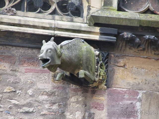 Французские бродилки - великолепный Мец, яркий Эльзас и серая Бургундия. Часть 4