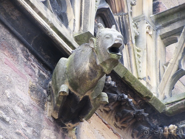 Французские бродилки - великолепный Мец, яркий Эльзас и серая Бургундия. Часть 4