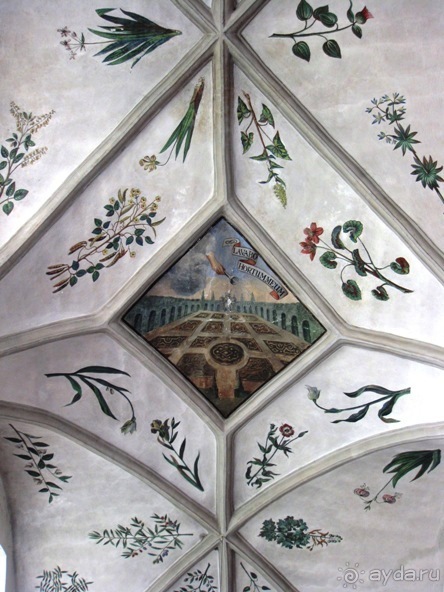 Под небом голубым...октябрьской Баварии (+ Страсбург). Часть 2