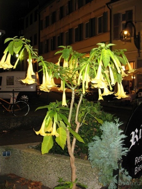 Под небом голубым...октябрьской Баварии (+ Страсбург). Часть 2