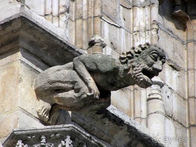 Бельгийские бродилки, пыхтелки и вопилки (с заездом в Маастрихт). Часть 11