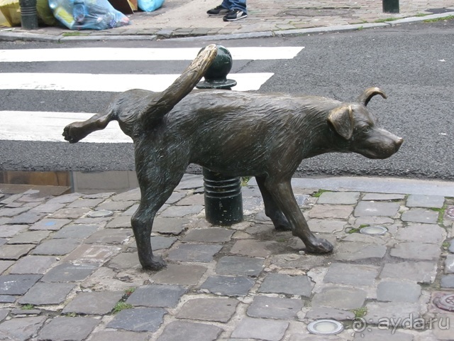 Бельгийские бродилки, пыхтелки и вопилки (с заездом в Маастрихт). Часть 11