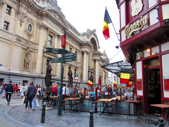Бельгийские бродилки, пыхтелки и вопилки (с заездом в Маастрихт). Часть 11