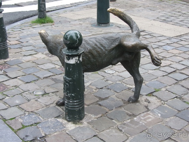 Бельгийские бродилки, пыхтелки и вопилки (с заездом в Маастрихт). Часть 11