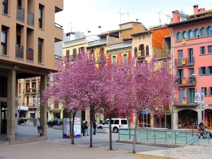 Вокруг Барселоны (Вик, Сан-Кугат-дель-Вальес, Вилафранка-дель-Пенедес, Жирона и др.) часть 1