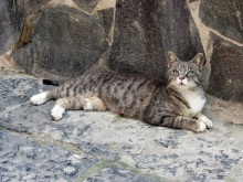 Дороги, которые нас выбирают: Неаполь, четыре "П" и Амальфитанское побережье. Часть 7