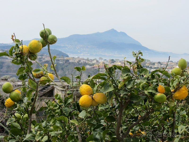 Дороги, которые нас выбирают: Неаполь, четыре "П" и Амальфитанское побережье. Часть 7