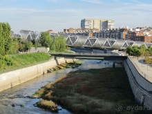 Как мы спасали ёжика и другие прогулки по Кастилии и вокруг Мадрида. Часть 4