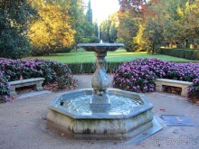 Как мы спасали ёжика и другие прогулки по Кастилии и вокруг Мадрида. Часть 4