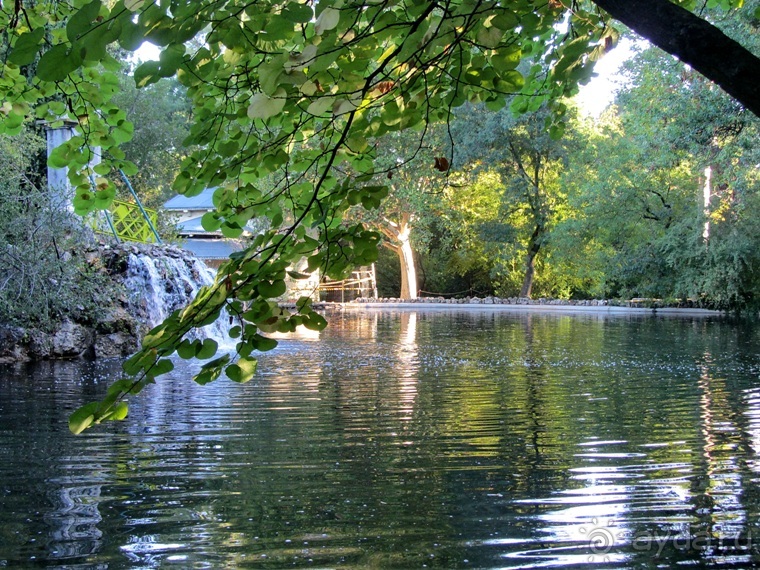 Как мы спасали ёжика и другие прогулки по Кастилии и вокруг Мадрида. Часть 4