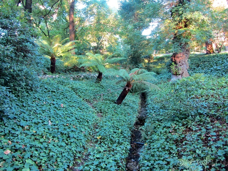 Как мы спасали ёжика и другие прогулки по Кастилии и вокруг Мадрида. Часть 4