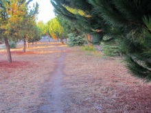 Как мы спасали ёжика и другие прогулки по Кастилии и вокруг Мадрида. Часть 4