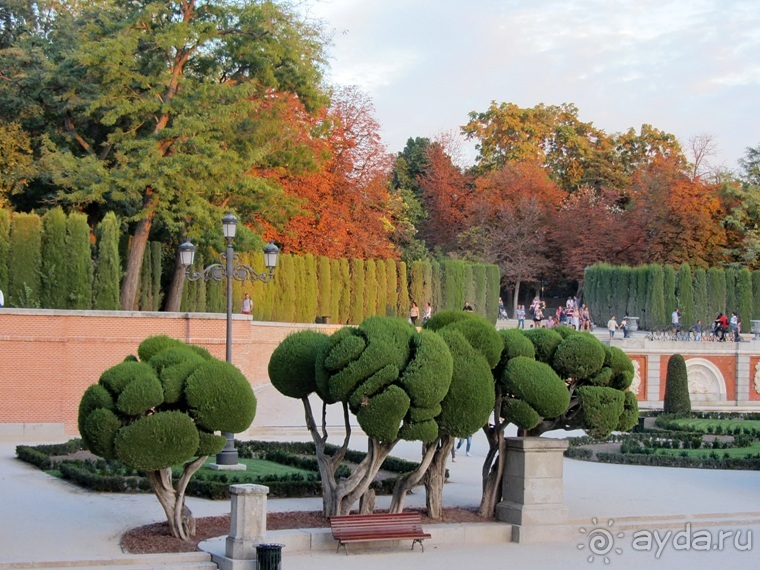 Как мы спасали ёжика и другие прогулки по Кастилии и вокруг Мадрида. Часть 4