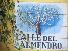 Как мы спасали ёжика и другие прогулки по Кастилии и вокруг Мадрида. Часть 4