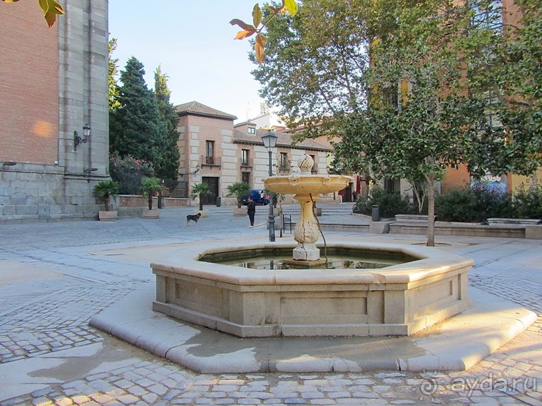 Как мы спасали ёжика и другие прогулки по Кастилии и вокруг Мадрида. Часть 4